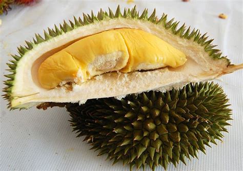 8 of the world’s stinkiest foods 